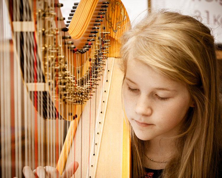 Harp Festival (18 of 54).jpg
